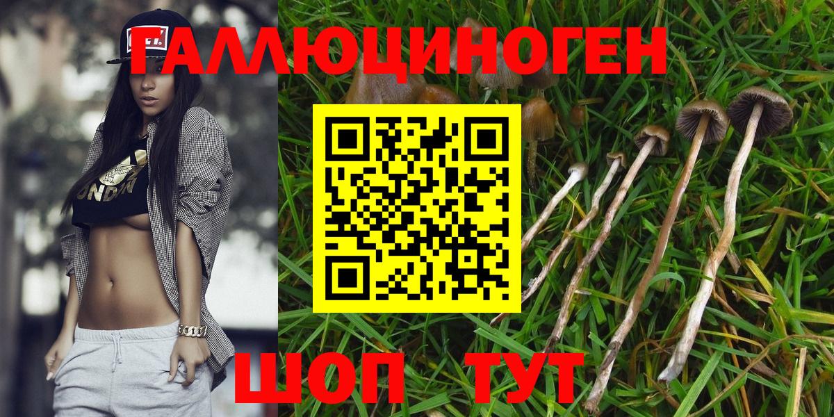 Псилоцибиновые грибы Psilocybine cubensis Нижневартовск
