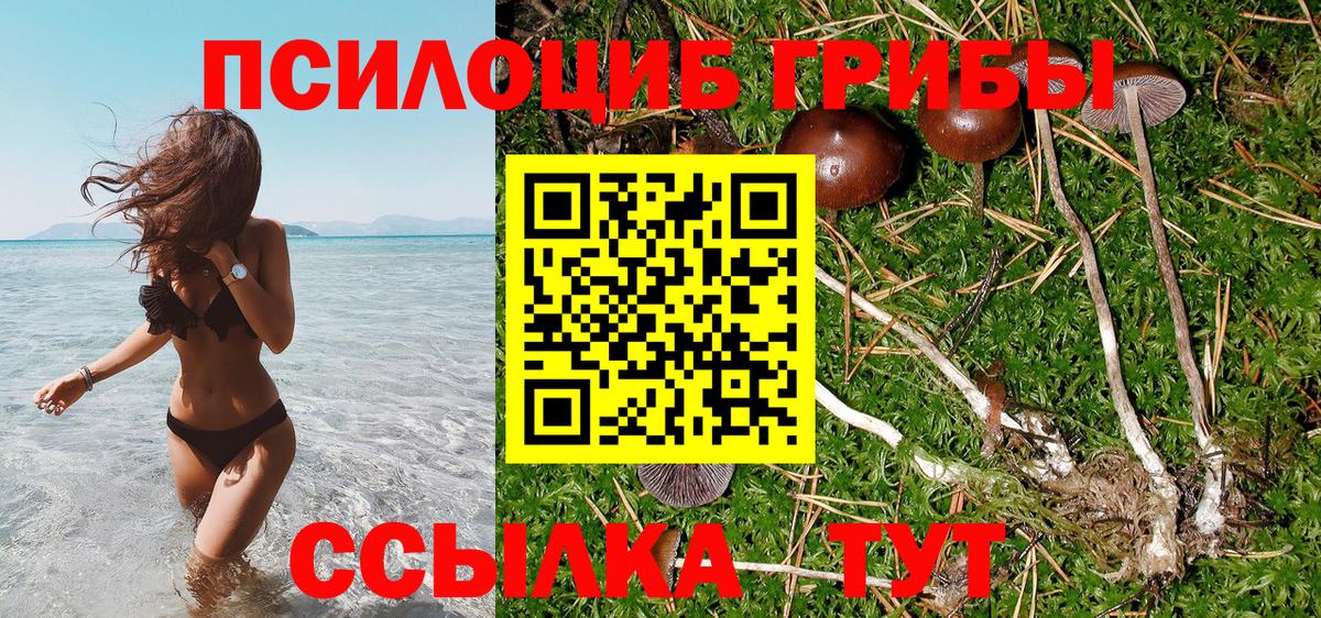 Нижневартовск  Псилоцибиновые грибы Magic Shrooms  Вход с VPN  Псилоцибиновые грибы Magic Shrooms 